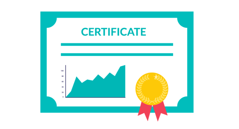 Certification and Portfolio: Documenting Professional Growth